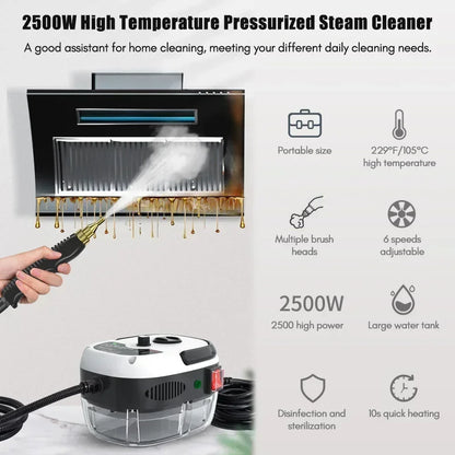High Temperature Steam Cleaner